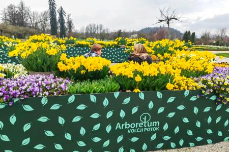 Labirint cvetja Arboretum Volčji Potok Foto Mateja Račevski-1